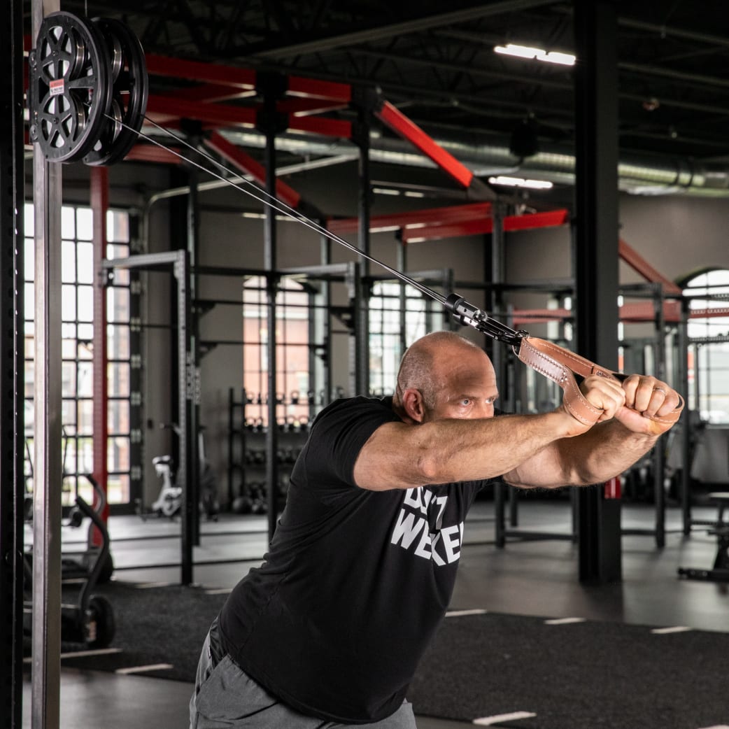 Rogue fitness cable store